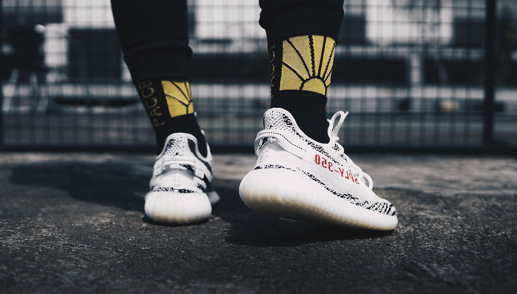 elite sock 1