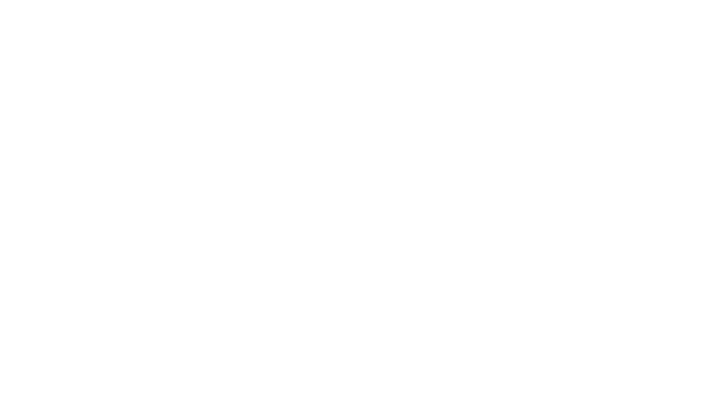 Elite Sport Socks